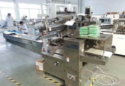 枕式包装机 现代包装生产线的核心动力